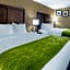 Comfort Inn Edison