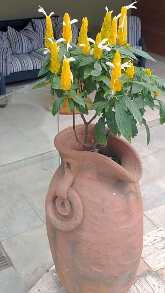 POUSADA CASA DIAMANTe