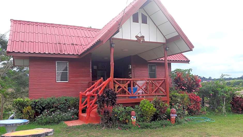 Khao Kho Flora
