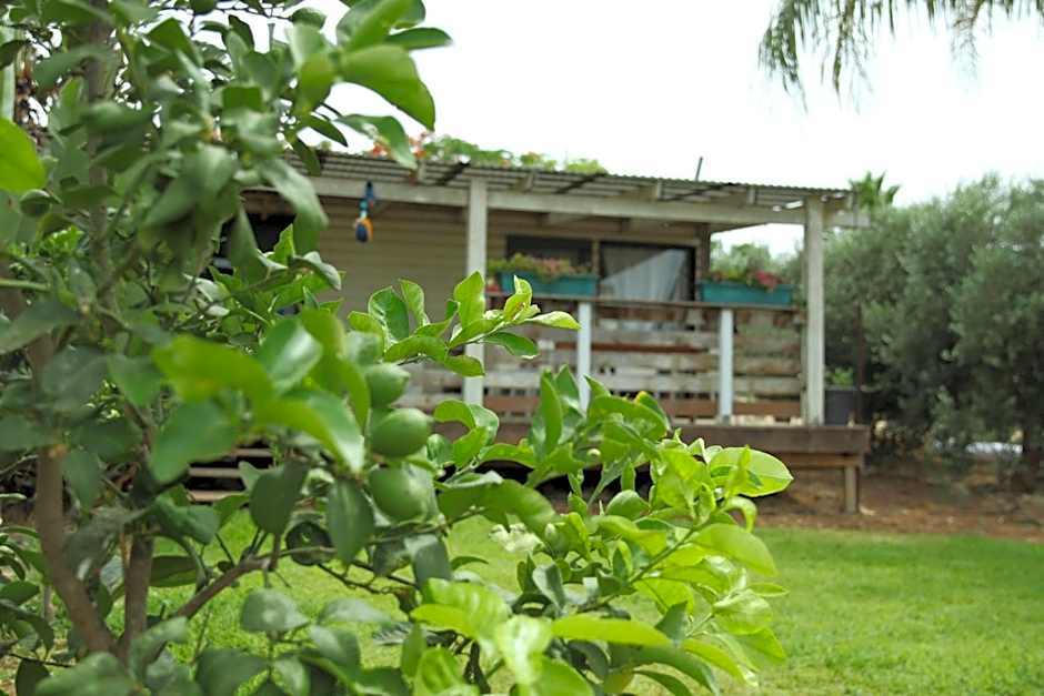 Workation experience in beautiful village