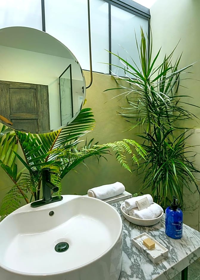 Orchid House Polanco