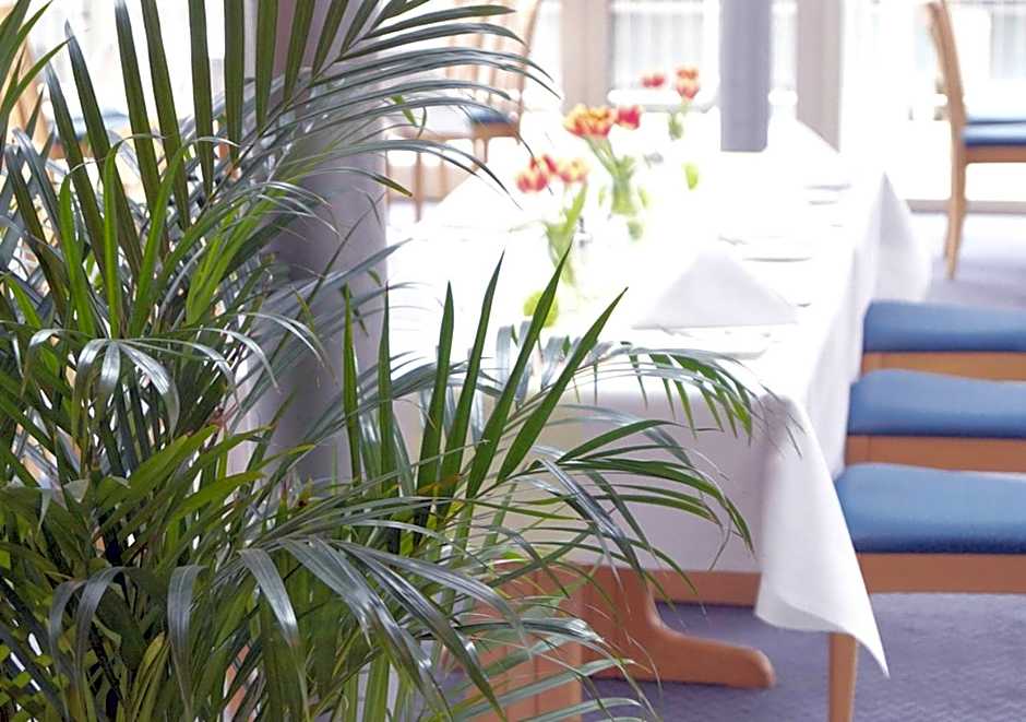 Hotel Alber