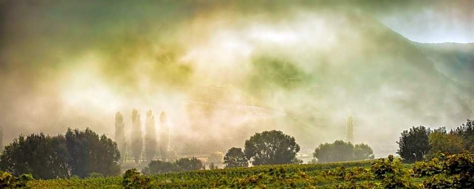 Weingut & Gästehaus Christoph Clüsserath
