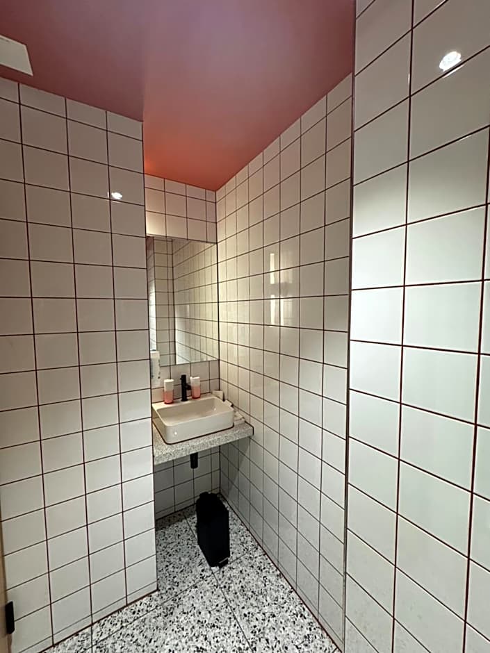 Hotel Alpina Luzern