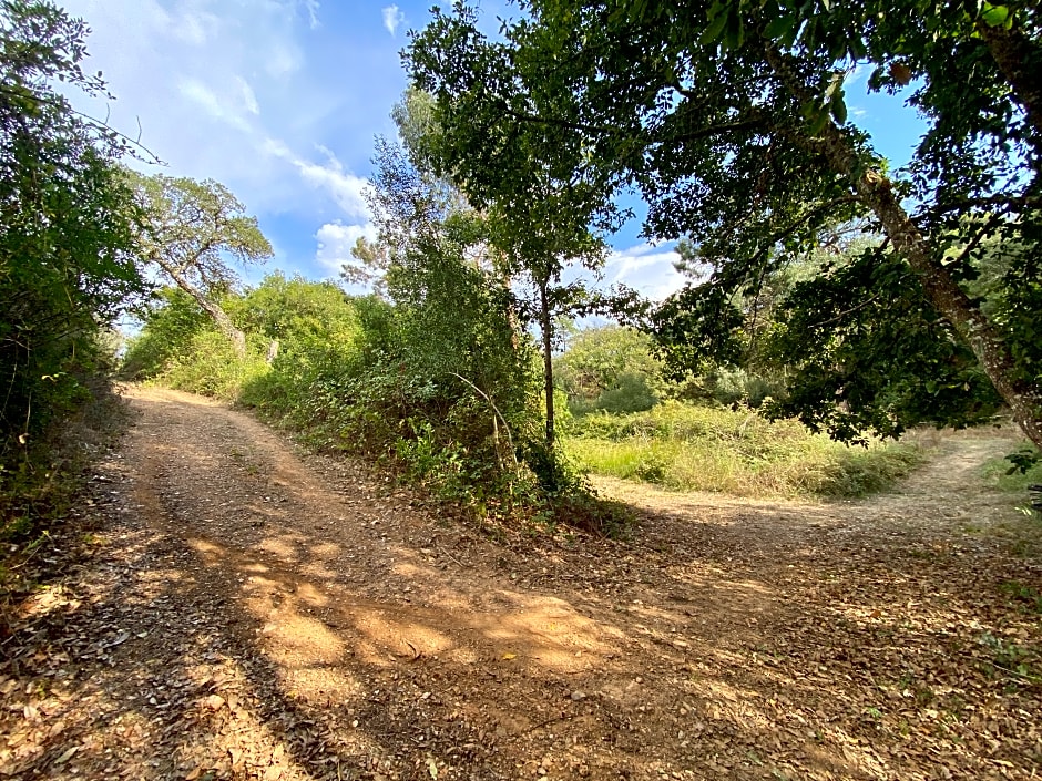 Monte do Zambujeiro