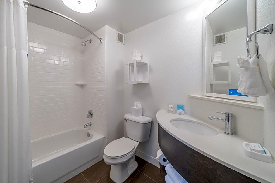 Hampton Inn By Hilton & Suites Valley Forge-Oaks
