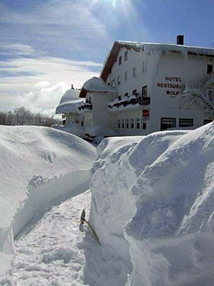 Hôtel Restaurant Wolf