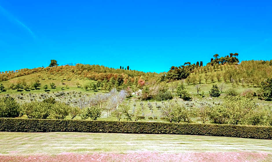 La Quercia - BolognaRooms