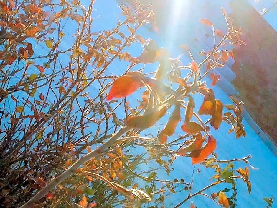 Holiday Inn Express Ordos Dongsheng By IHG