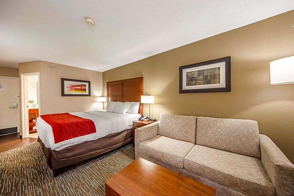 Comfort Inn Greenville - Haywood Mall