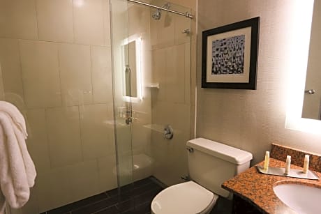 1 King Bed Mobility/Hearing Accessible Room Roll-In Shower Non-Smoking