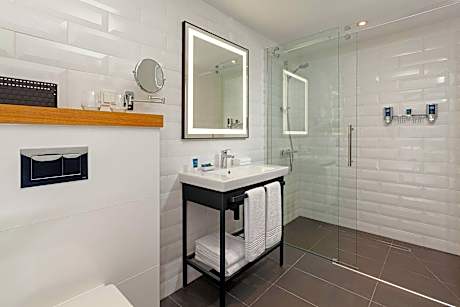 1 Bedroom Suite, 1 King