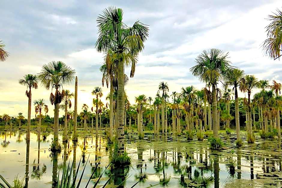 Chalé Container Nobres Asa Própria