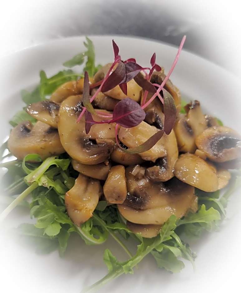 The Red Lyon Slinfold