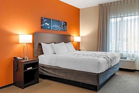 King Room - Non-Smoking