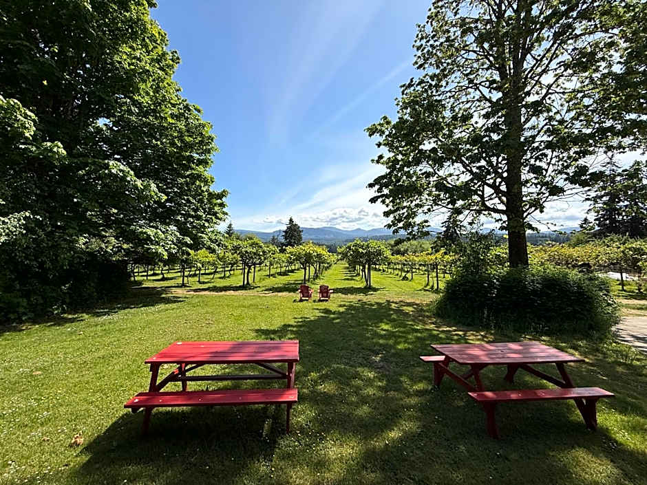 Kiwi Cove Lodge