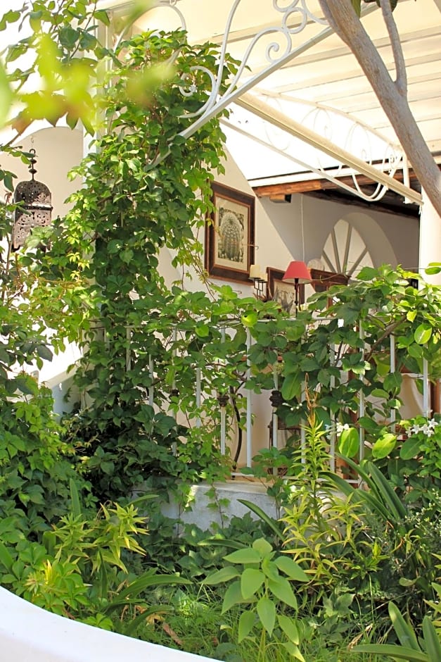 Hotel O Palmo