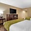 Comfort Inn Pearl-Jackson