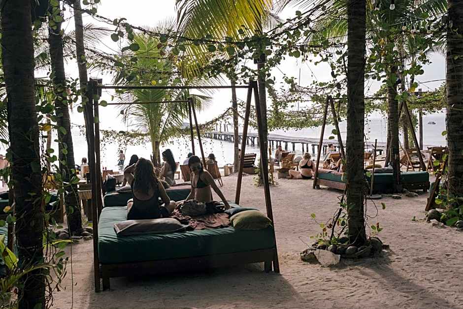 Mayan Monkey Isla Mujeres - Social Hotel