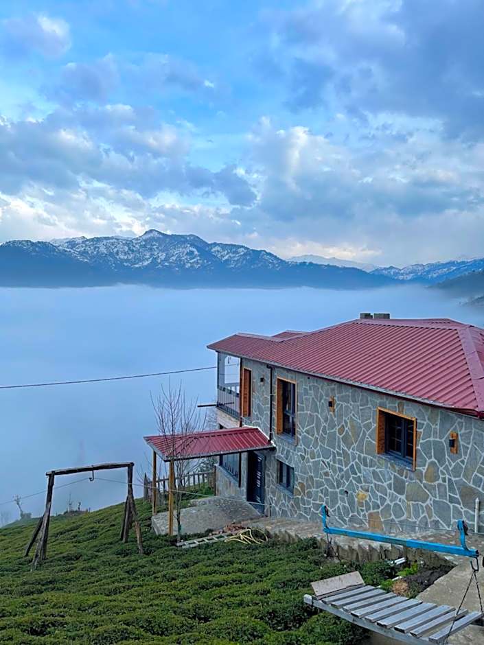 MİNTONA VİLLA SUİT