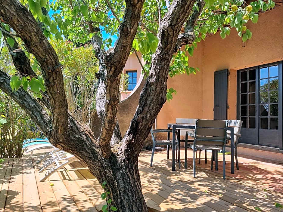 Les Garrigues de la Vallée des Baux