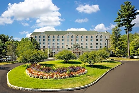 Hilton Garden Inn Albany