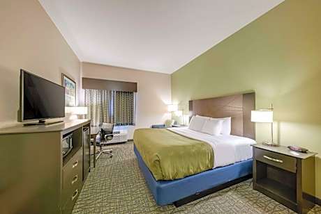 Standard King Room - Non Smoking