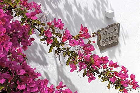 Villa 3 Bedroom with Rooftop Terrace Sea View