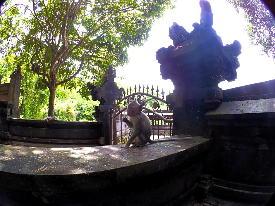 Pecatu GuestHouse