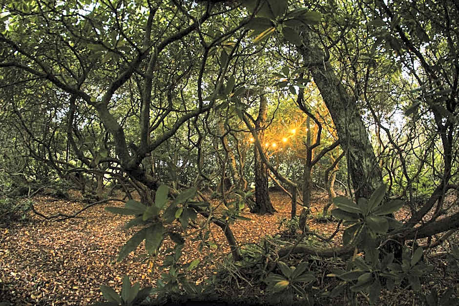 Vallåsens Värdshus STF Hostel