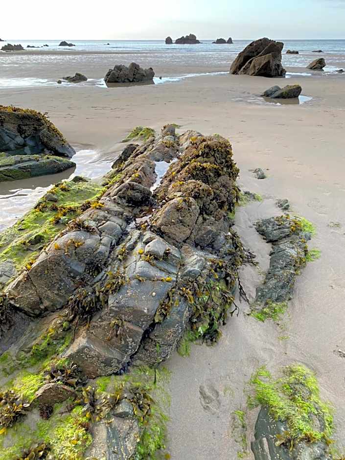 Hotel Rural Playa de Aguilar