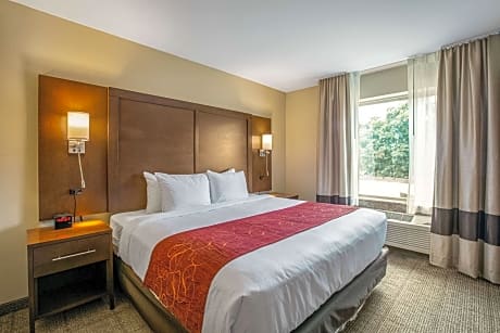 1 King Bed, No Smoking