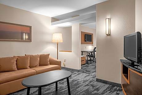 One-Bedroom King Suite with Sofa Bed