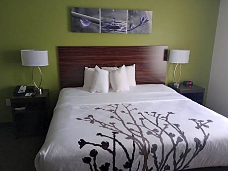 1 King Bed, Nonsmoking, Accessible