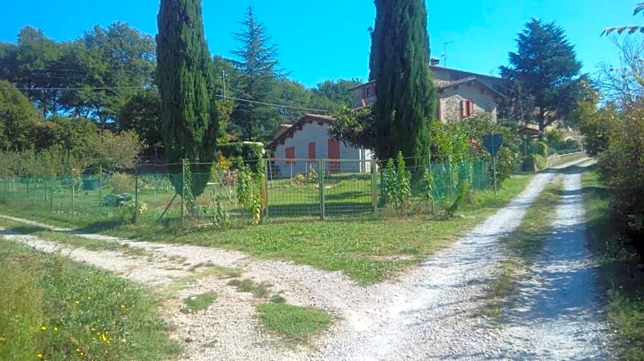 Tana Del Tasso