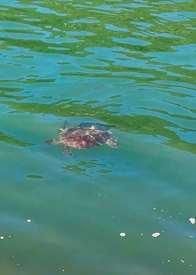 Gruta da Sereia Suítes Ubatuba