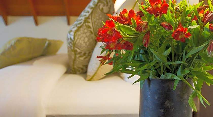 Tea Plant Nuwara Eliya Hotel