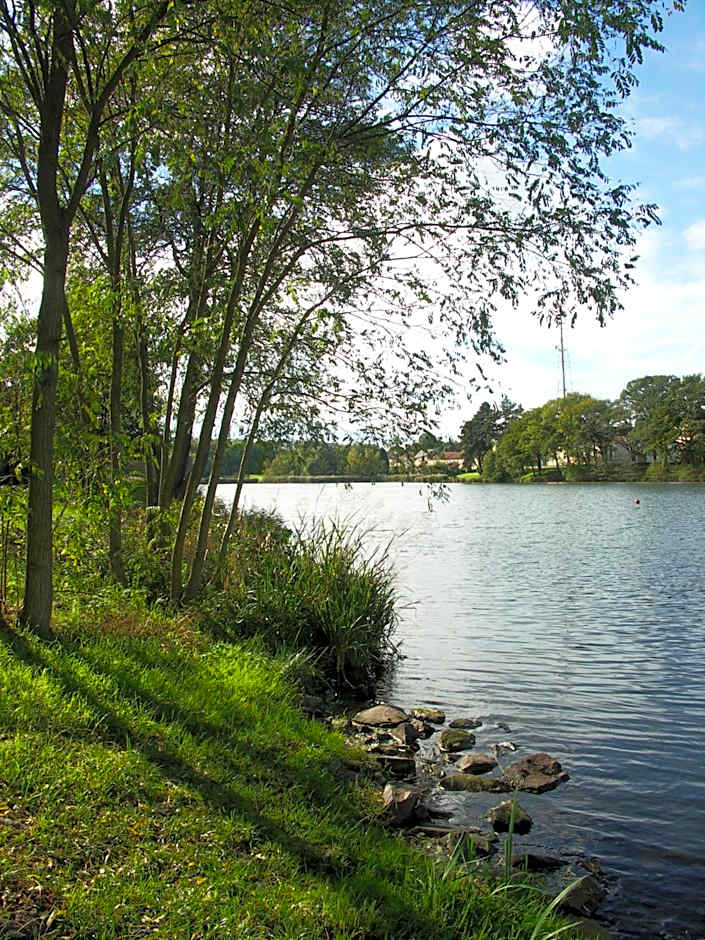 Hôtel et Restaurant Aster, Saint-Avold Nord