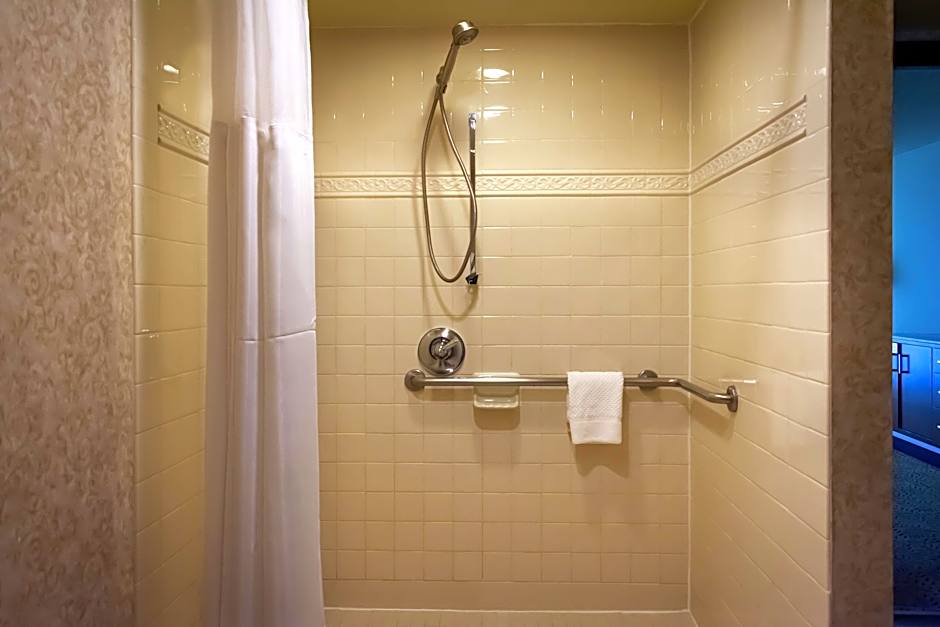 Photo 1 of 5 of Premier 1 King Bed, Hearing/Mobility Accessible, Roll in Shower, Balcony