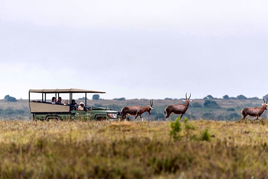 Kwantu Private Game Reserve
