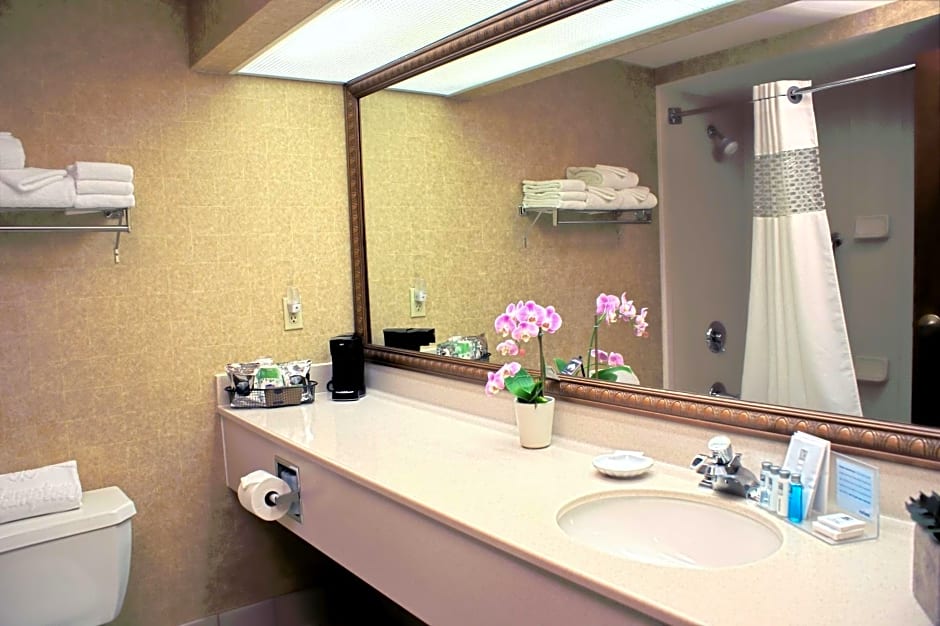Hampton Inn By Hilton Las Vegas/Summerlin