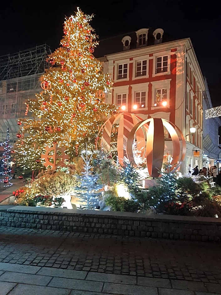 Brit Hotel Mulhouse Centre