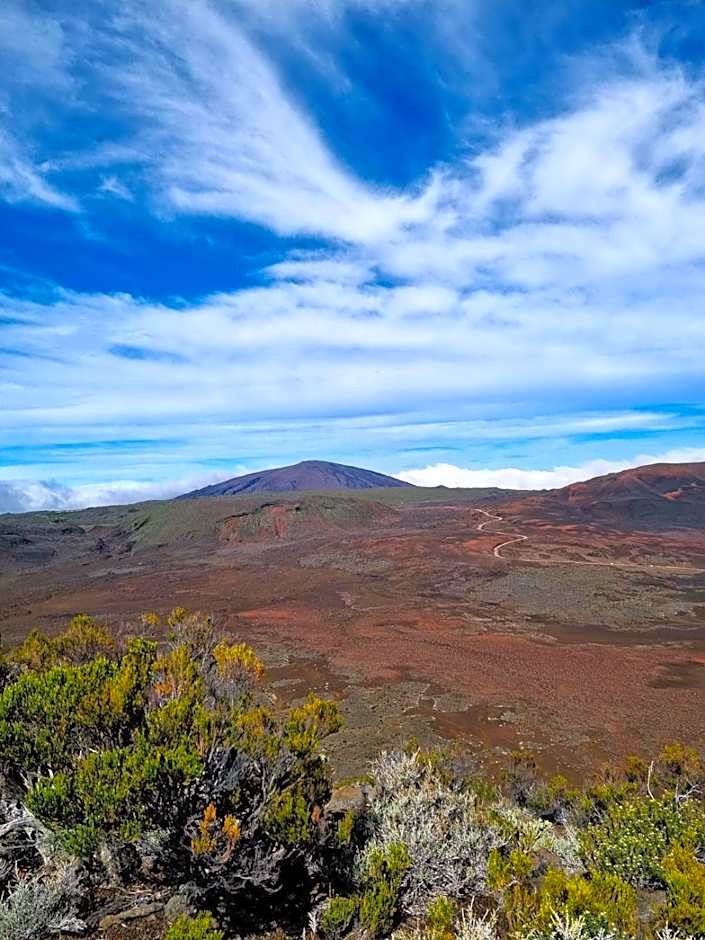 Maison d'hôtes Villa des Mascareignes