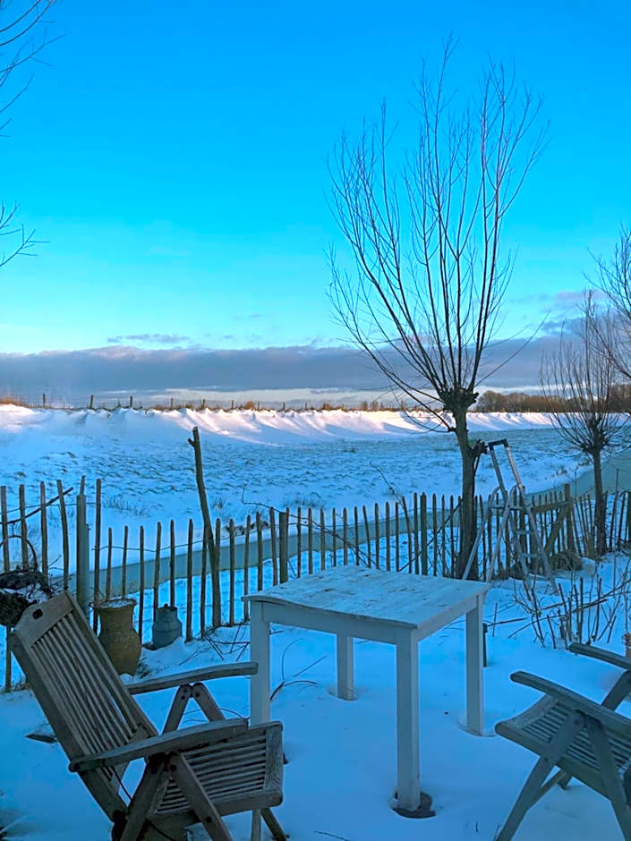 Rosa's zonnige huisje bij duinen bos en strand
