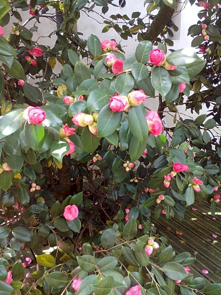 Chambres d'Hôtes Au Grillon Dort