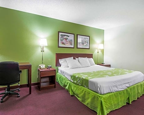 1 King Bed, Nonsmoking, Accessible