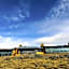 Design Suites Calafate