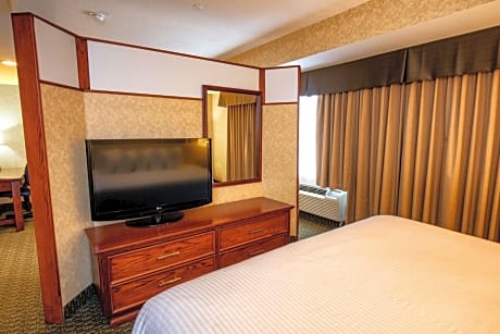Suite-1 King Bed, Non-Smoking, High Speed Internet Access, Microwave, Refrigerator, Sofabed