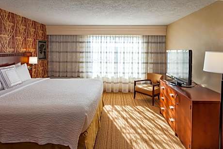 King Room with City View and Roll-in Shower - Mobility Accessible