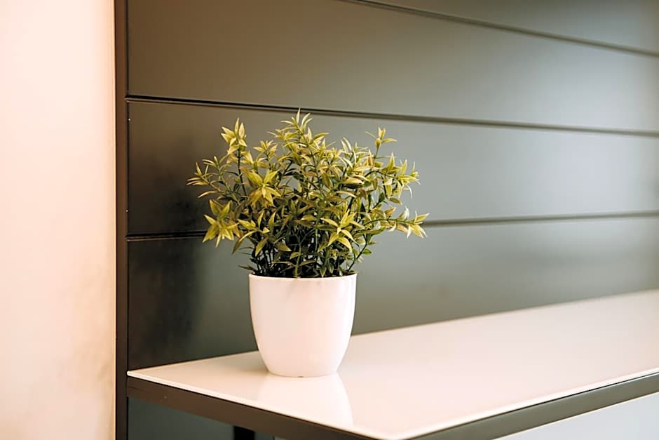 ZEN Central Apartments